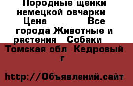 Породные щенки немецкой овчарки › Цена ­ 24 000 - Все города Животные и растения » Собаки   . Томская обл.,Кедровый г.